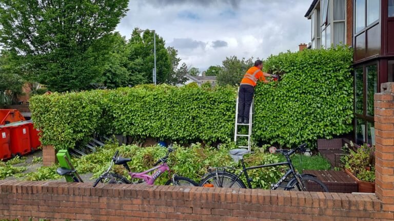 Hedge Trimming