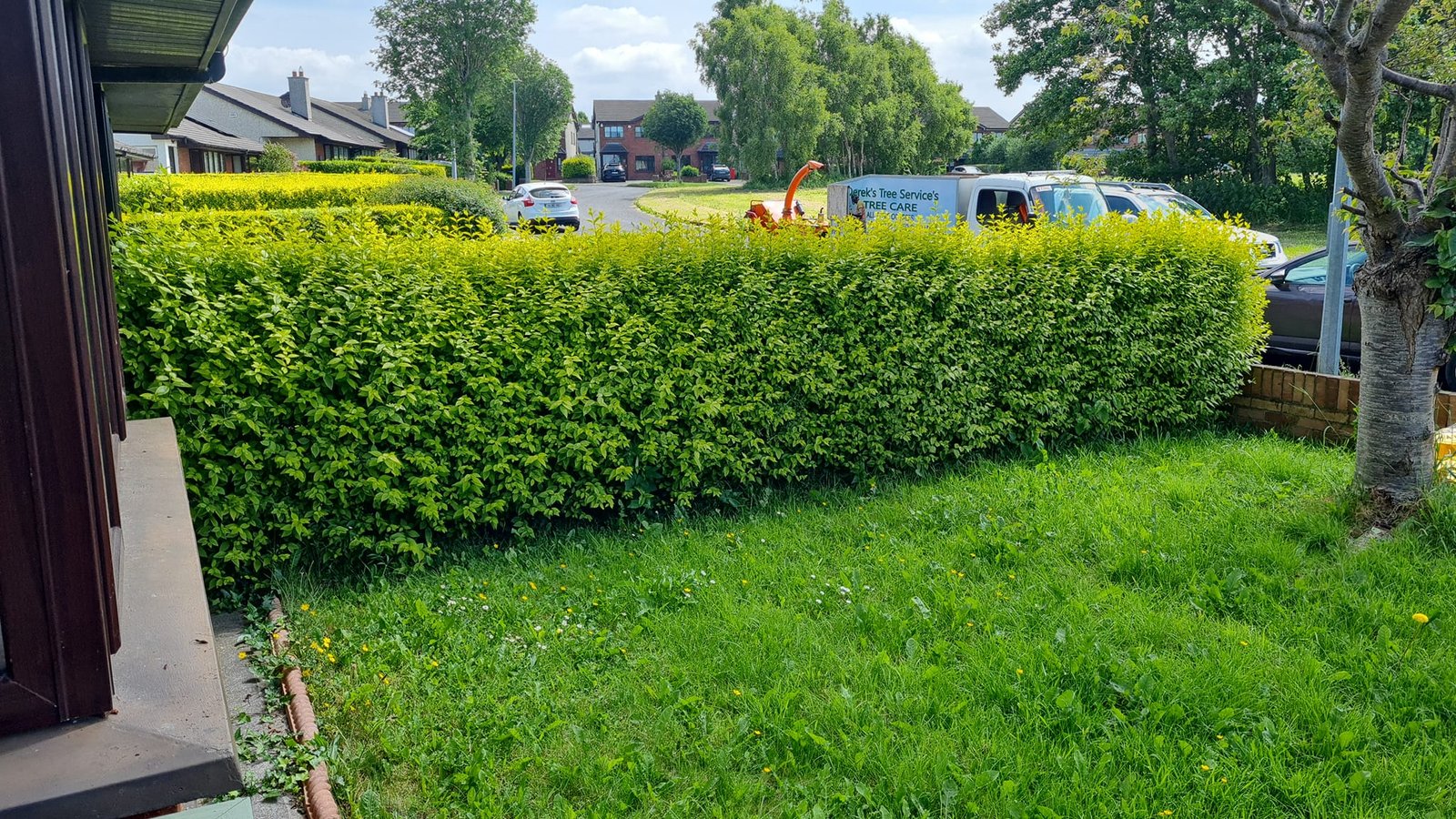 Garden Maintenance In Dublin