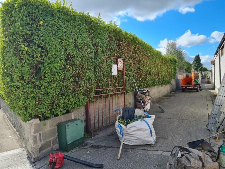 Garden Waste Removal in Dublin