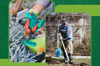 garden waste removal